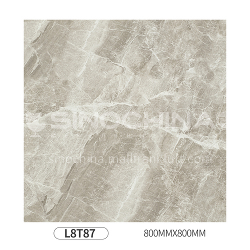 Simple and modern style whole body polished glazed floor tiles-L8T87 800mm*800mm